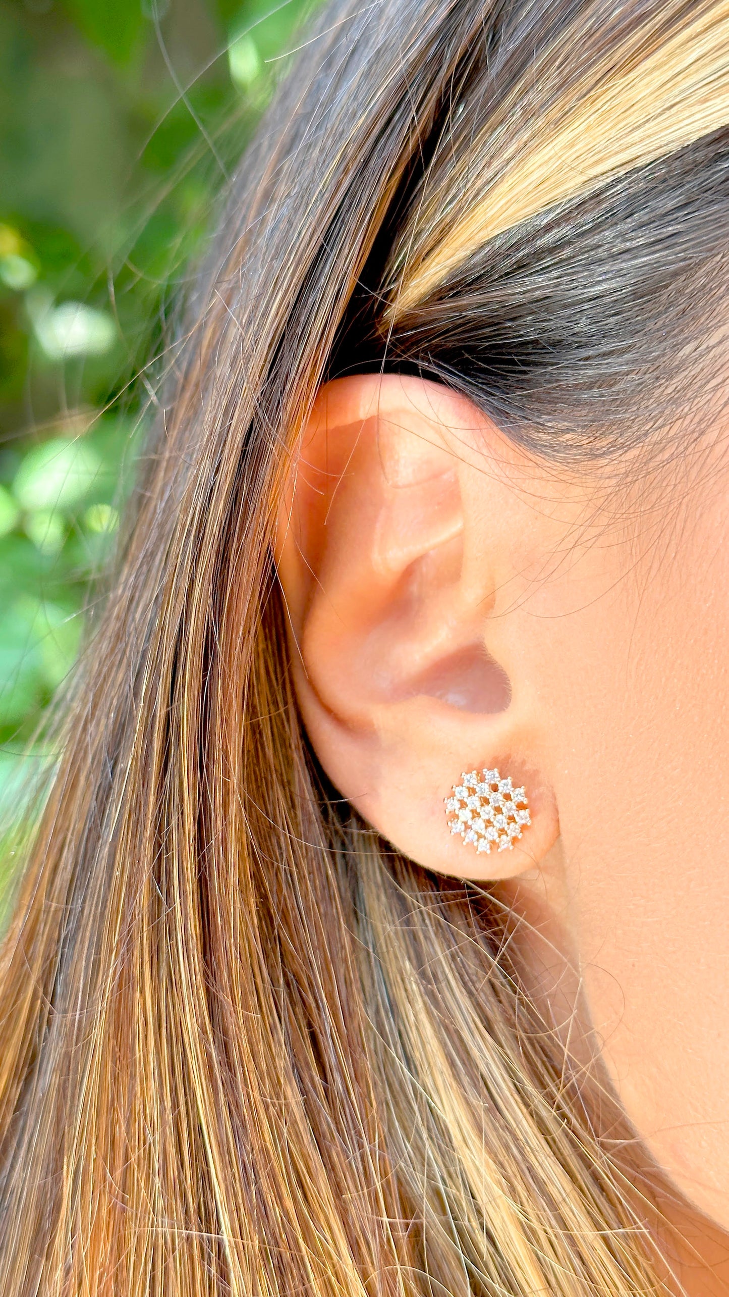 Snowflake set
